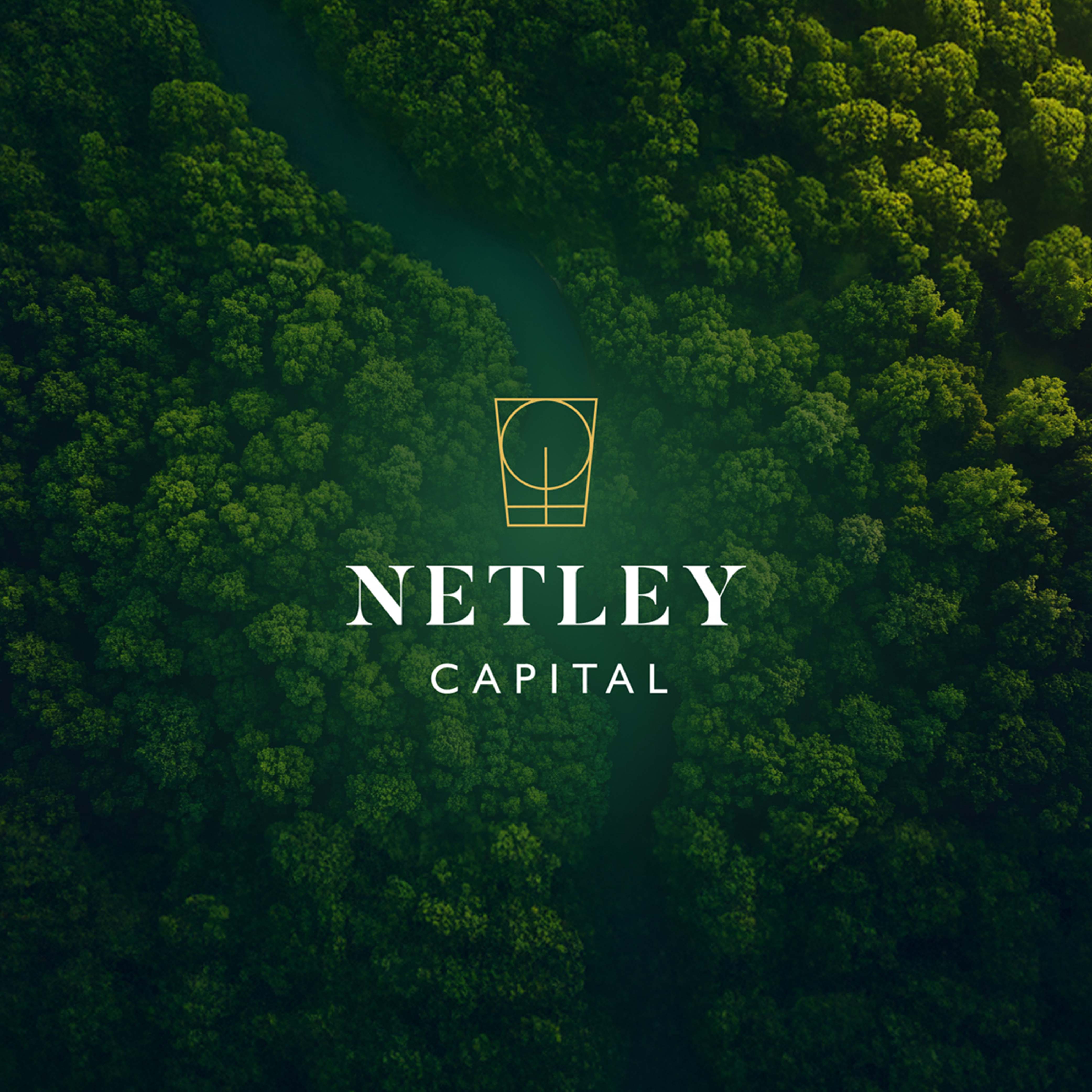 Cases   Embassy of Brands   Netley Capital   3