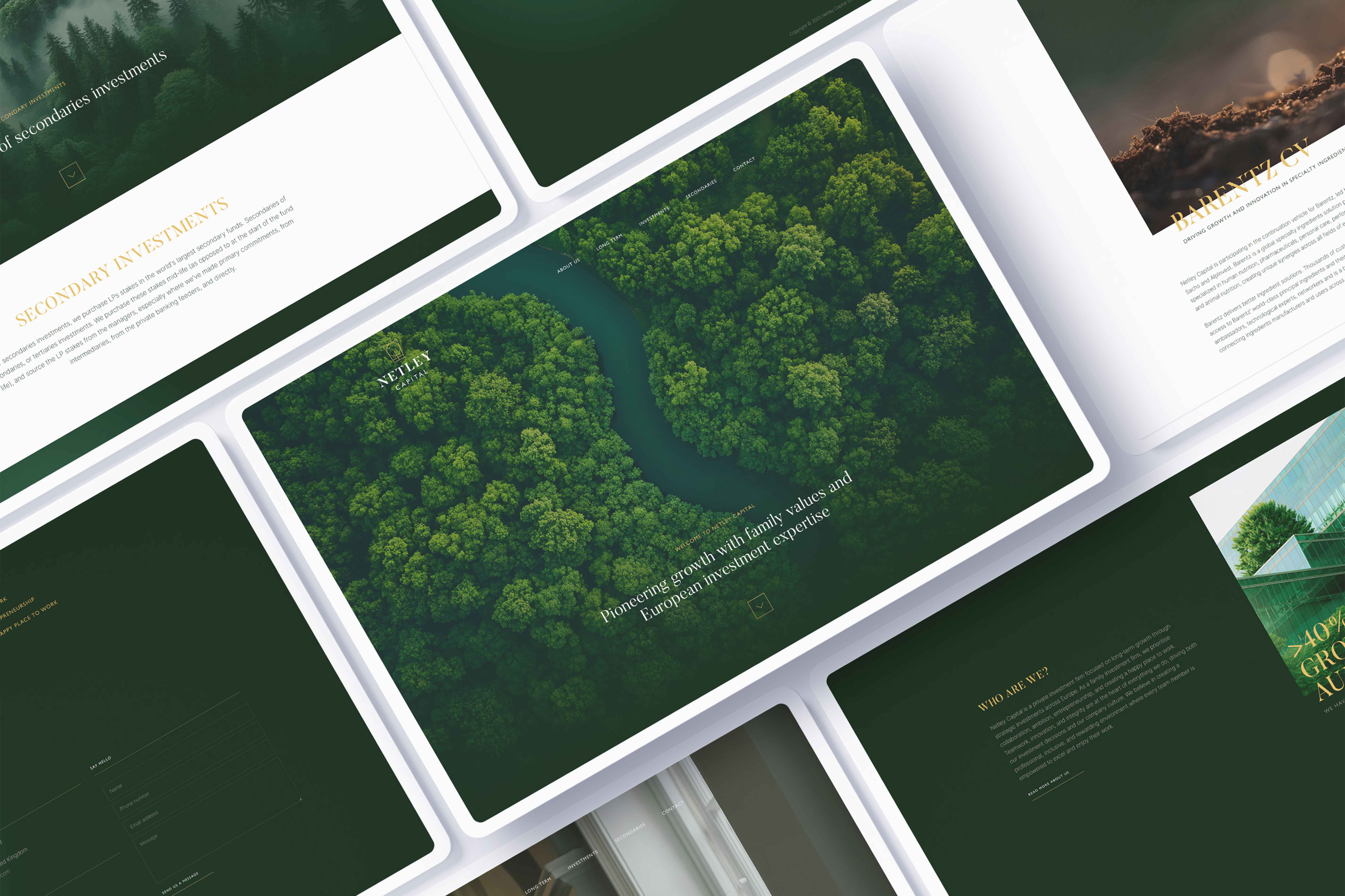 Cases   Embassy of Brands   Netley Capital   4