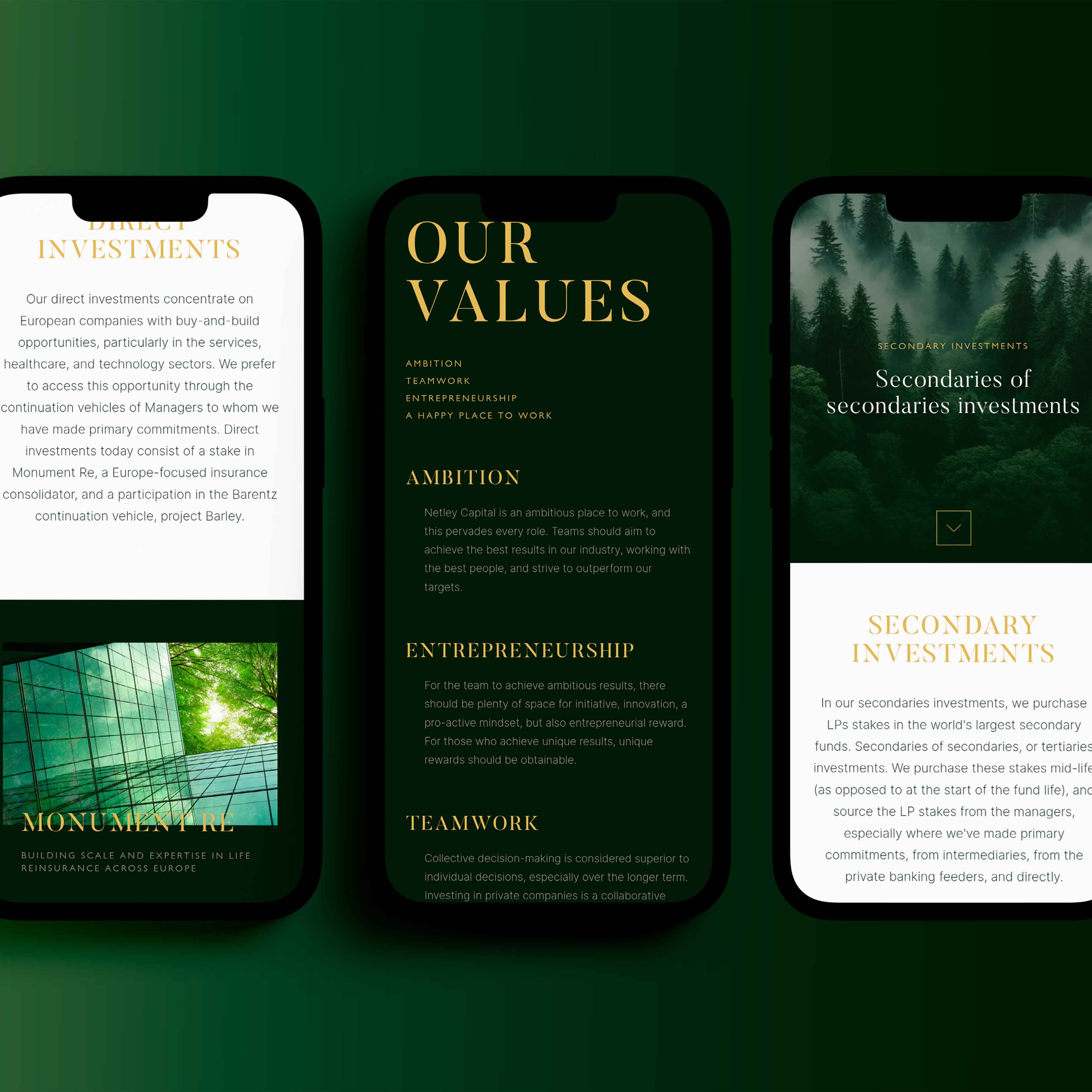 Cases   Embassy of Brands   Netley Capital   6