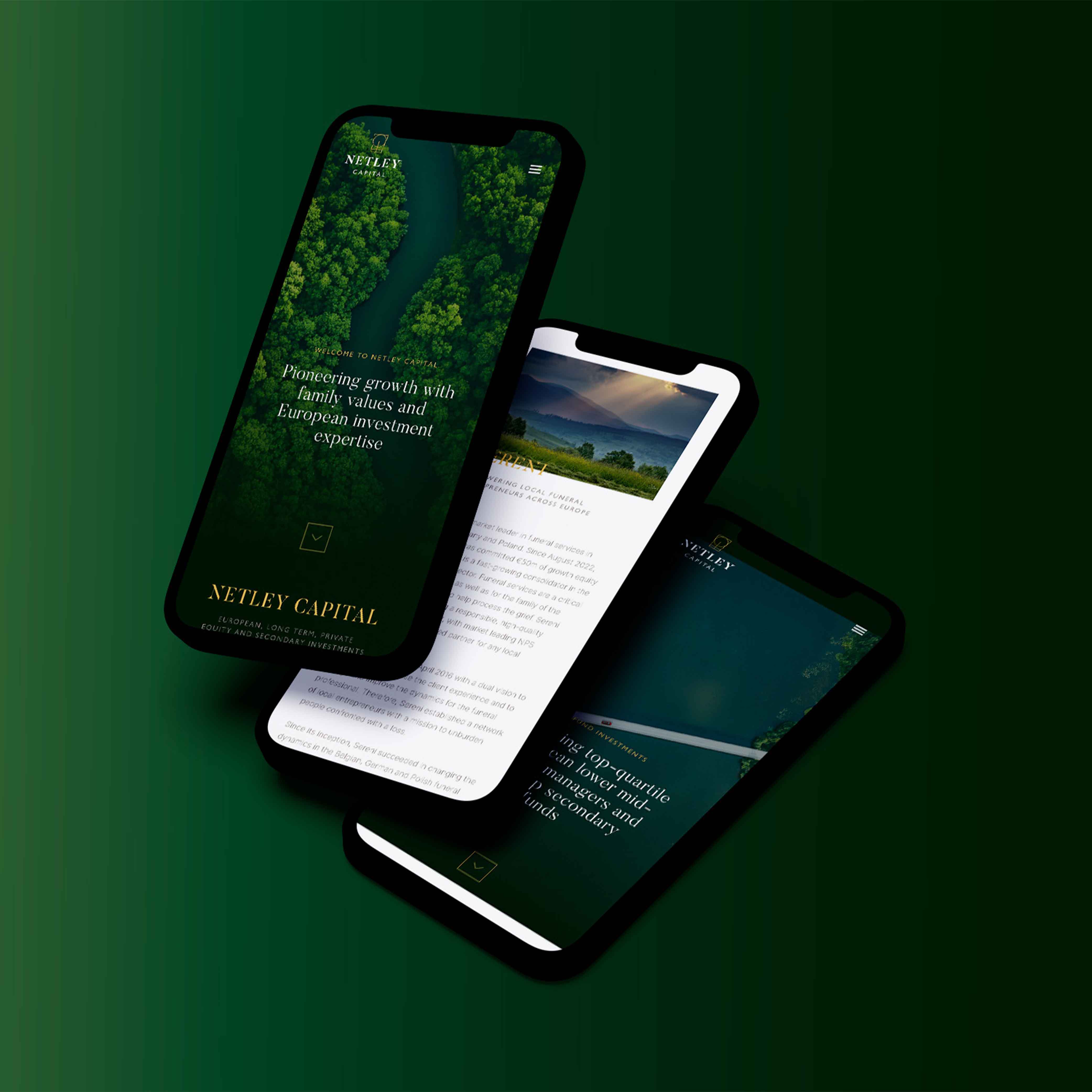 Cases   Embassy of Brands   Netley Capital   9