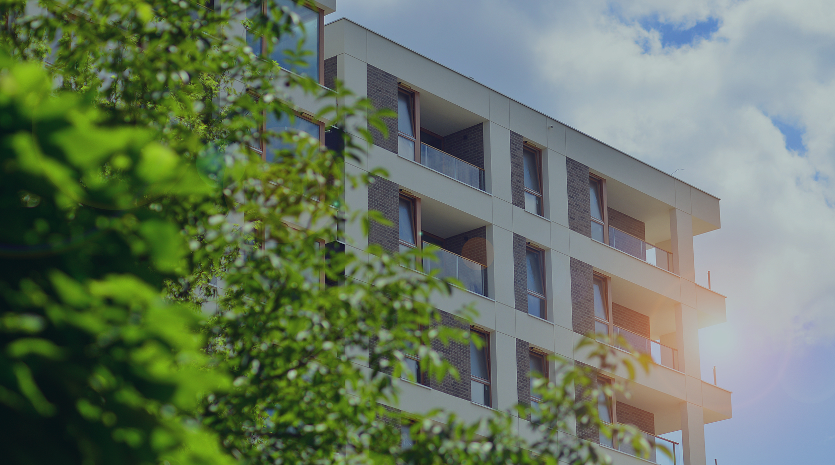 Cases - Embassy of Brands - Properly