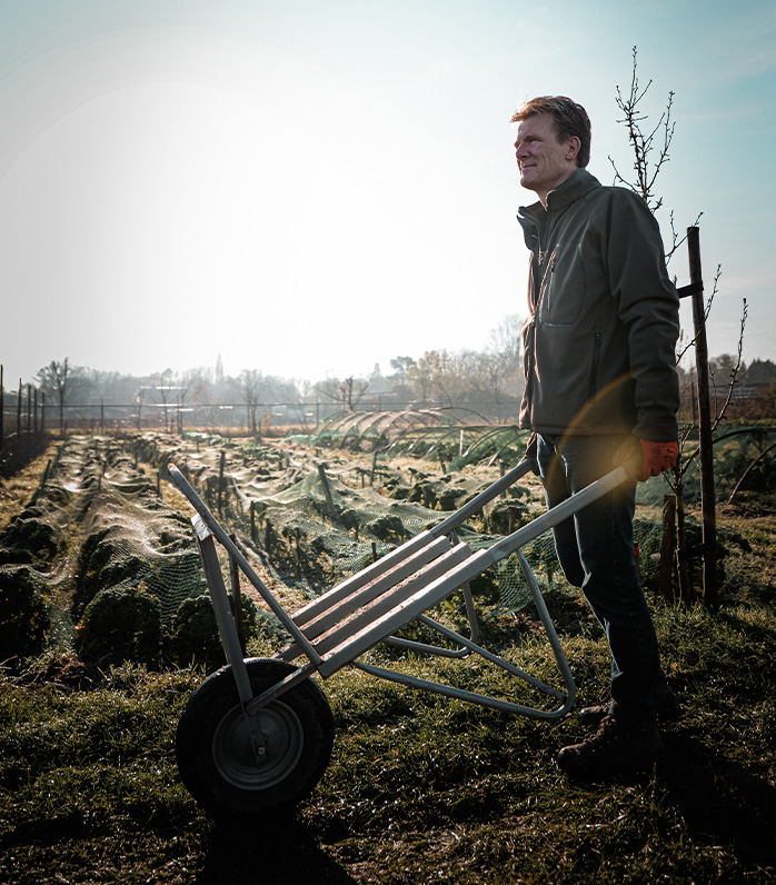 Cases - Embassy of Brands - Volantess - 9