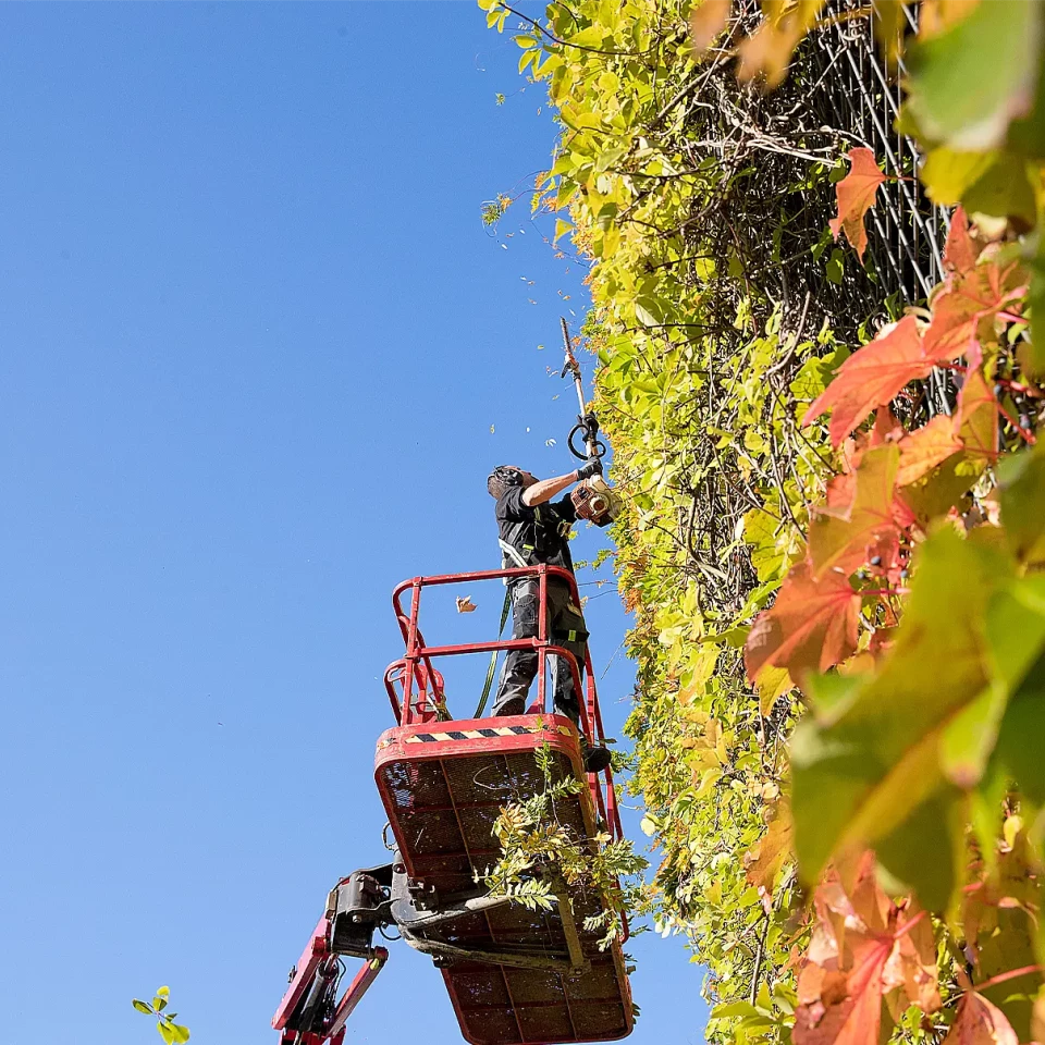 Bekijk hier de case over Dolmans Landscaping Group
